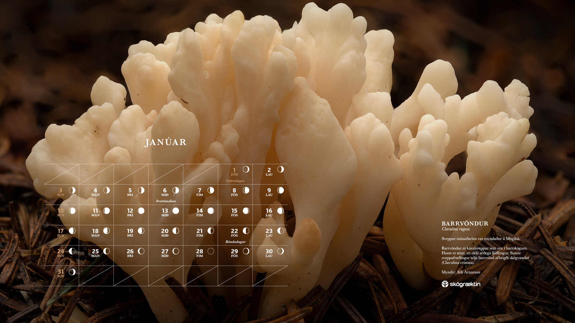 Janúar 2021 Janúar 2021