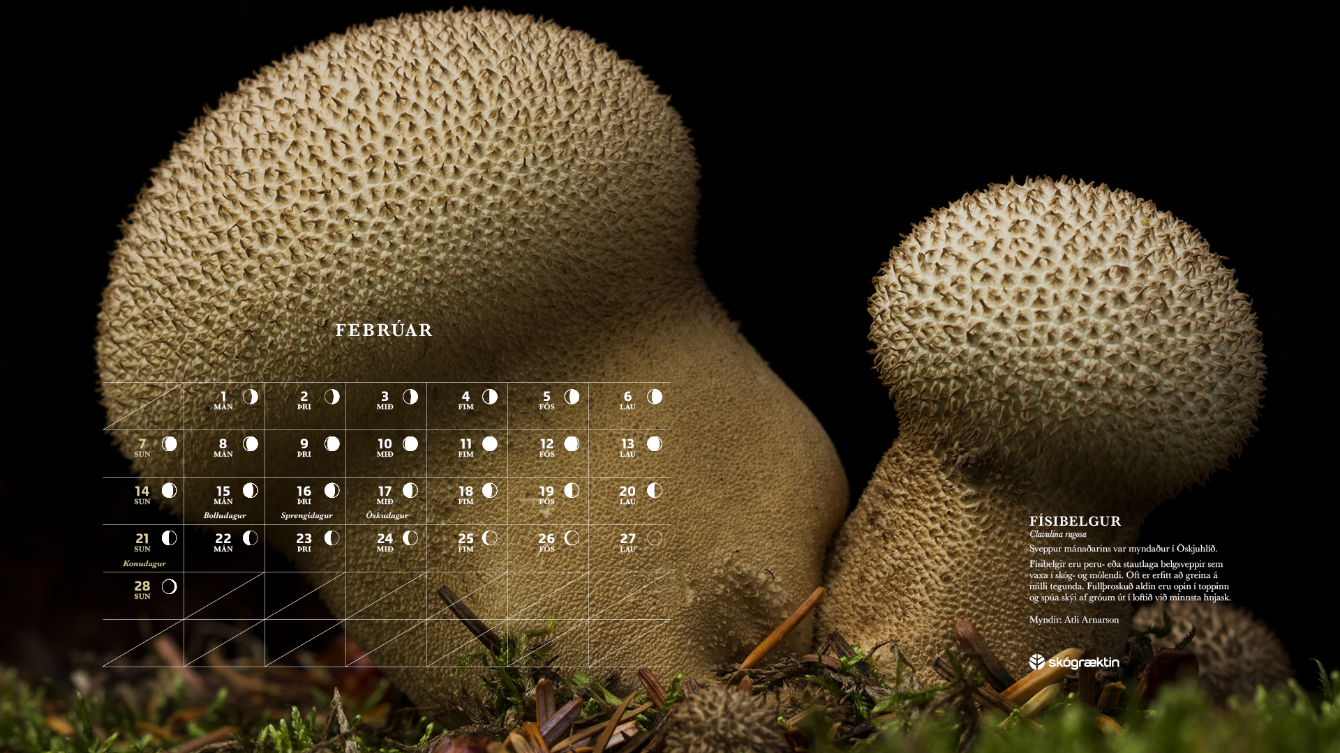 Febrúar 2021 Febrúar 2021