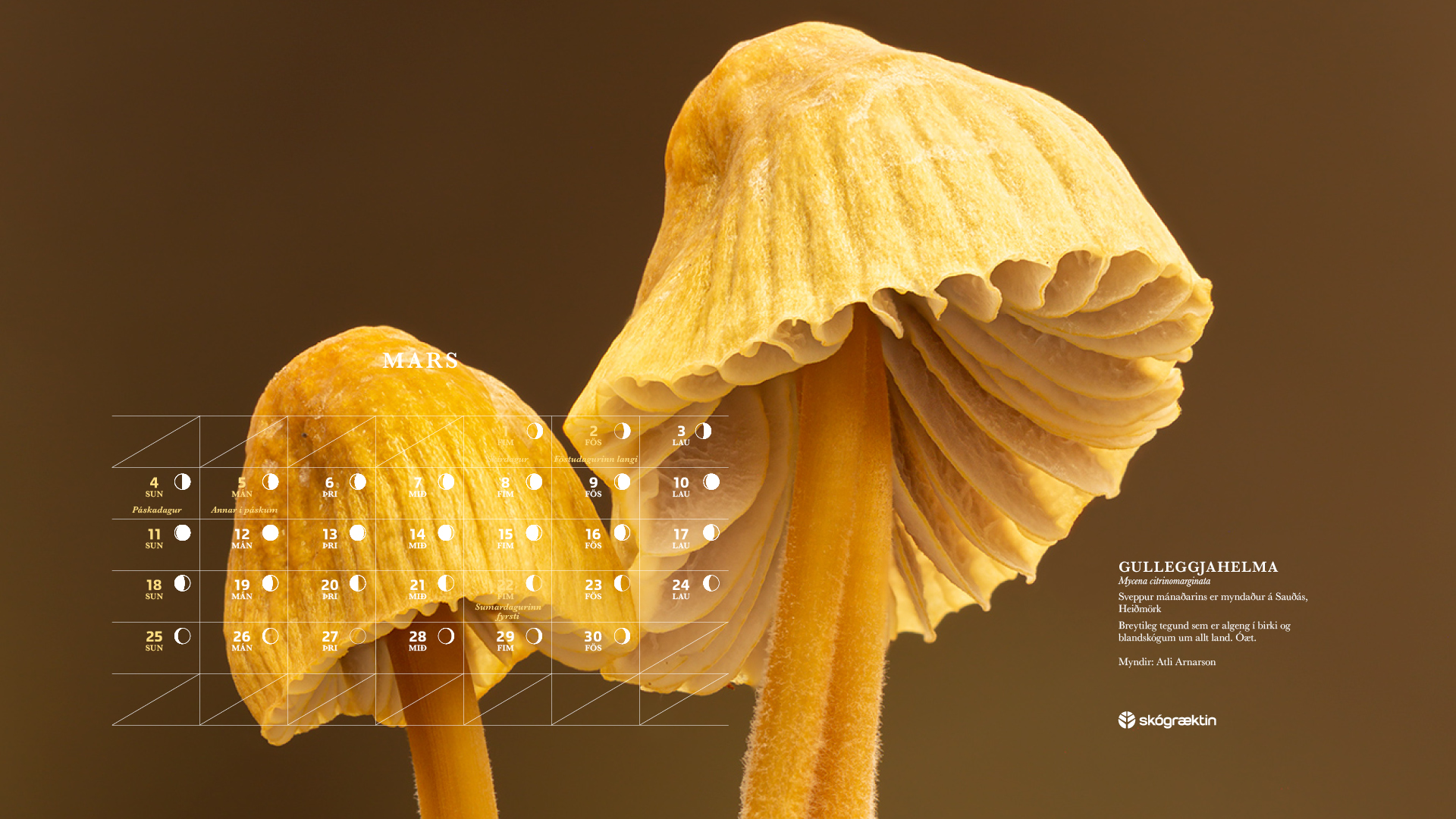 Apríl 2021 Apríl 2021