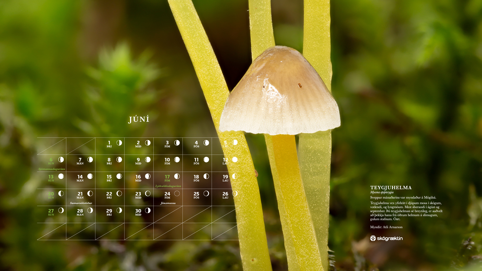 Júní 2021 Júní 2021