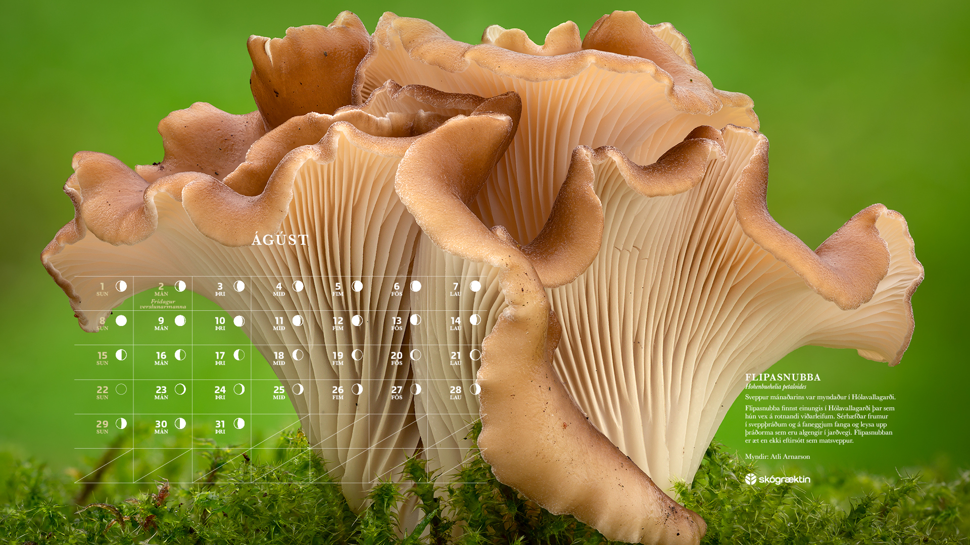 Ágúst 2021 Ágúst 2021