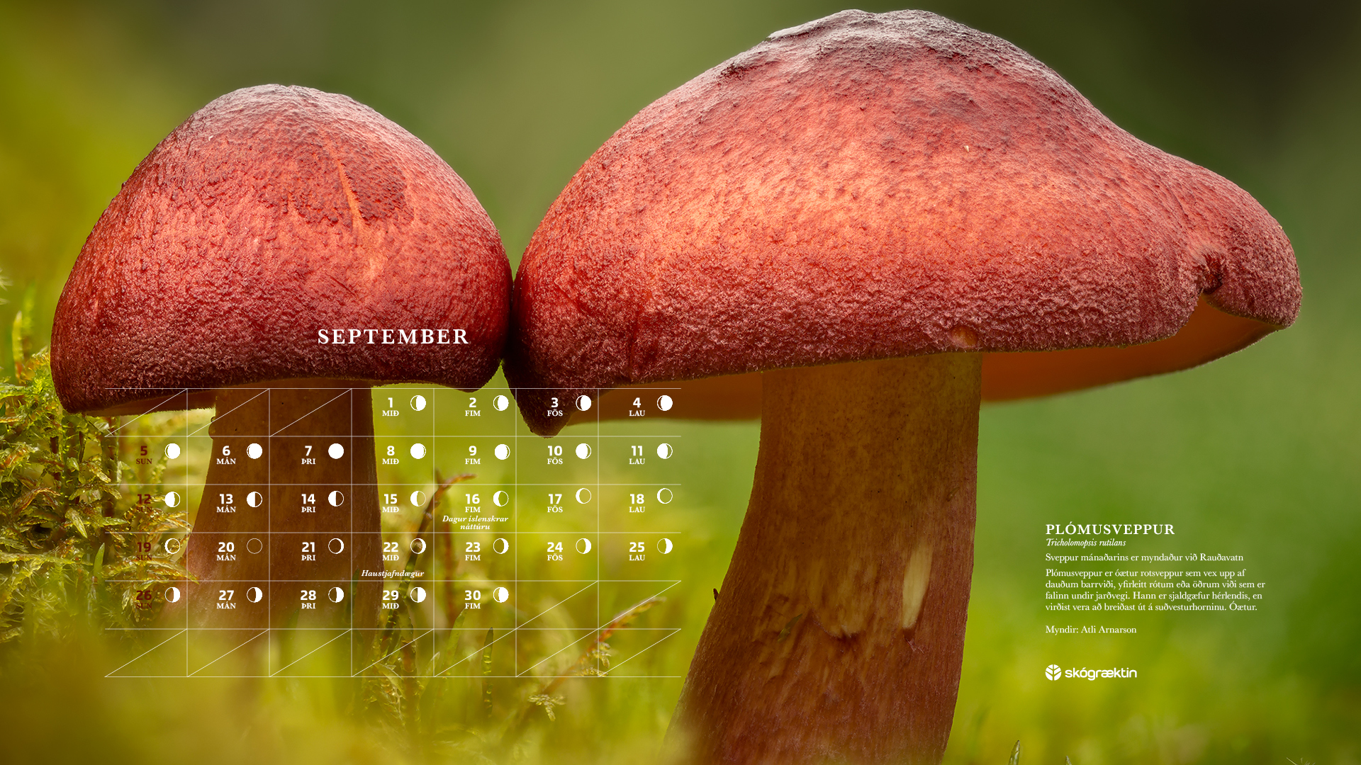 September 2021 September 2021