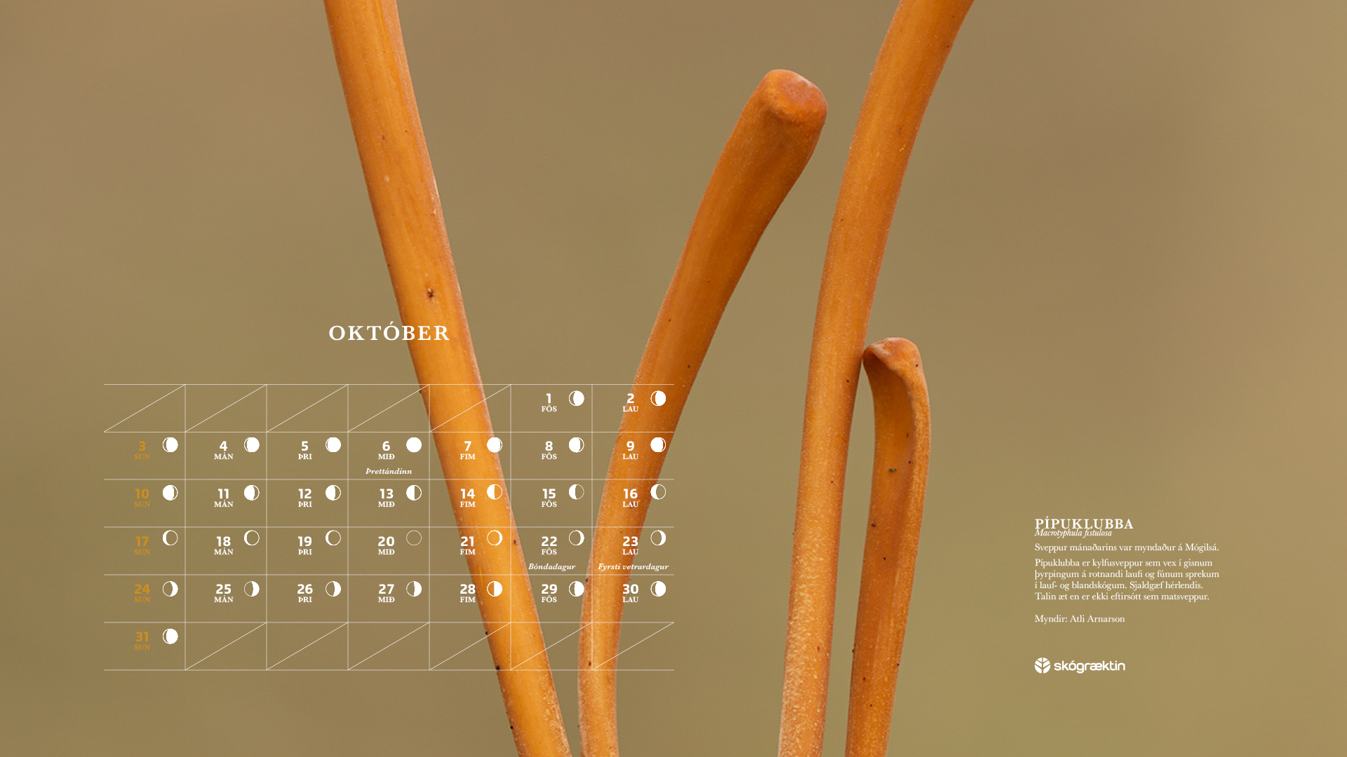 Október 2021 Október 2021