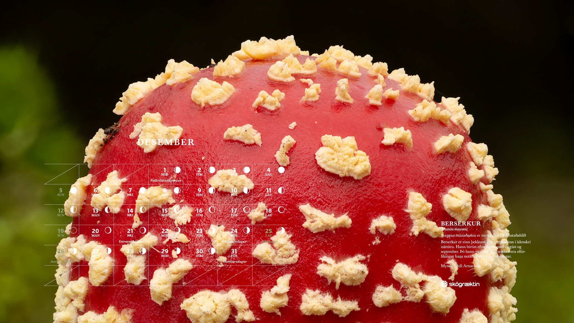 Desember 2021 Desember 2021