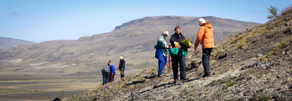 Ljósmynd: Hreinn Óskarsson