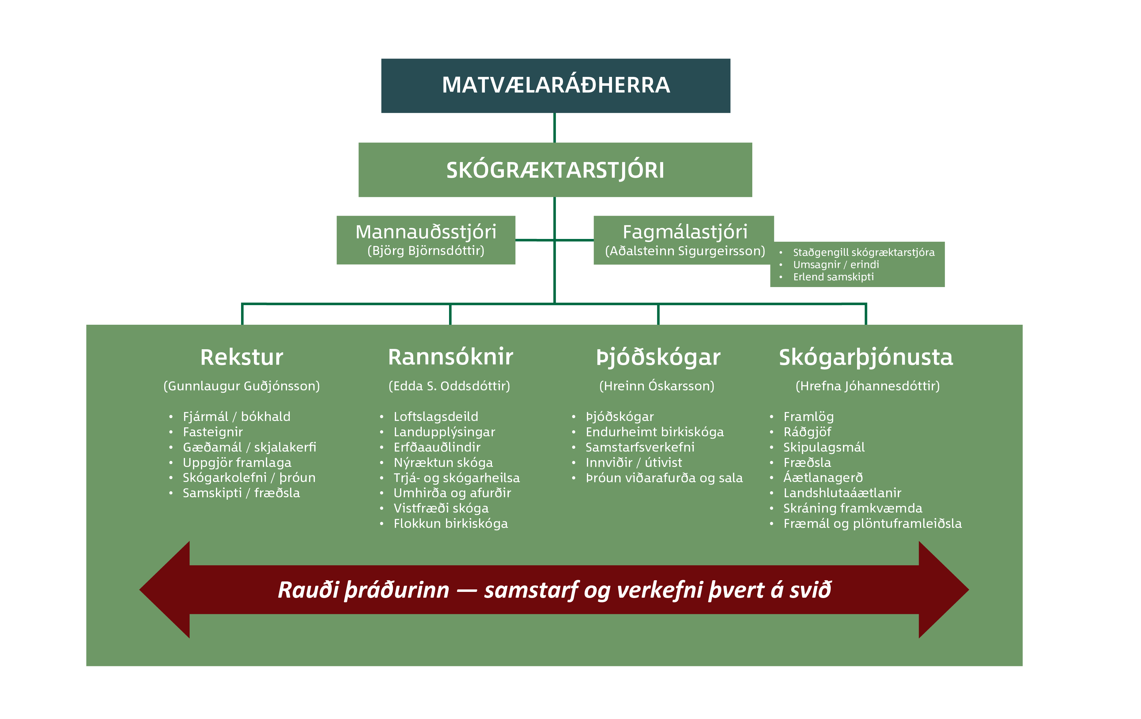 Skipurit Skógræktarinnar Skipurit Skógræktarinnar
