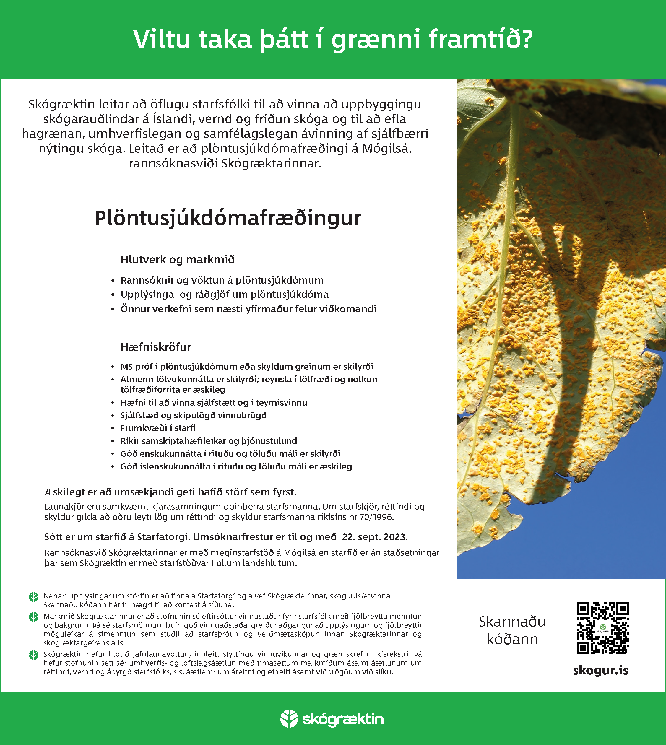 Auglýsing um starfið Auglýsing um starfið