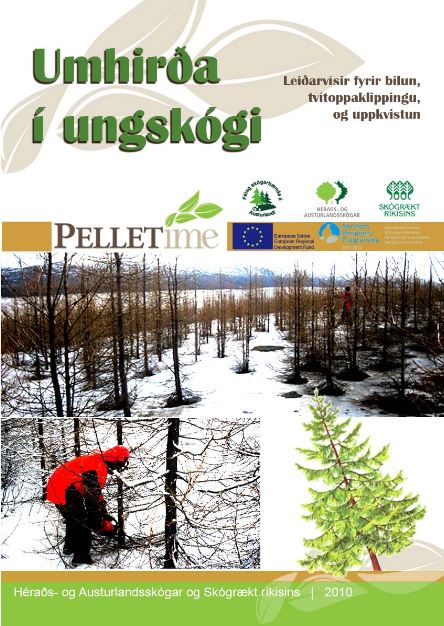 Forsíða bæklingsins