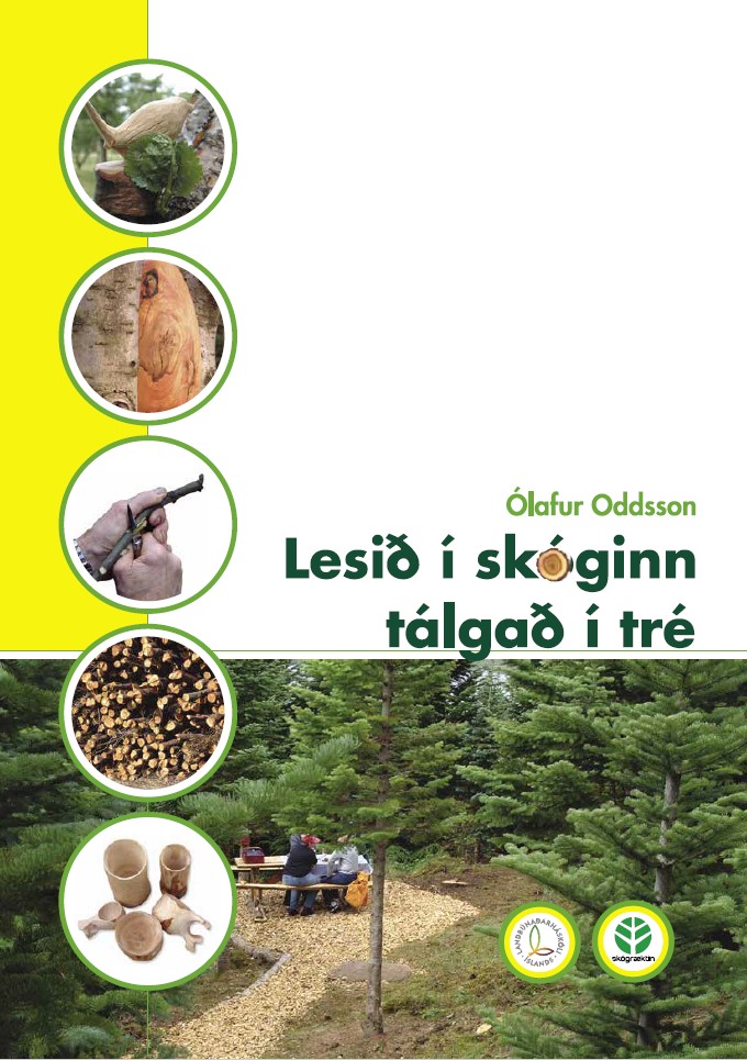 Forsíða bókarinnar