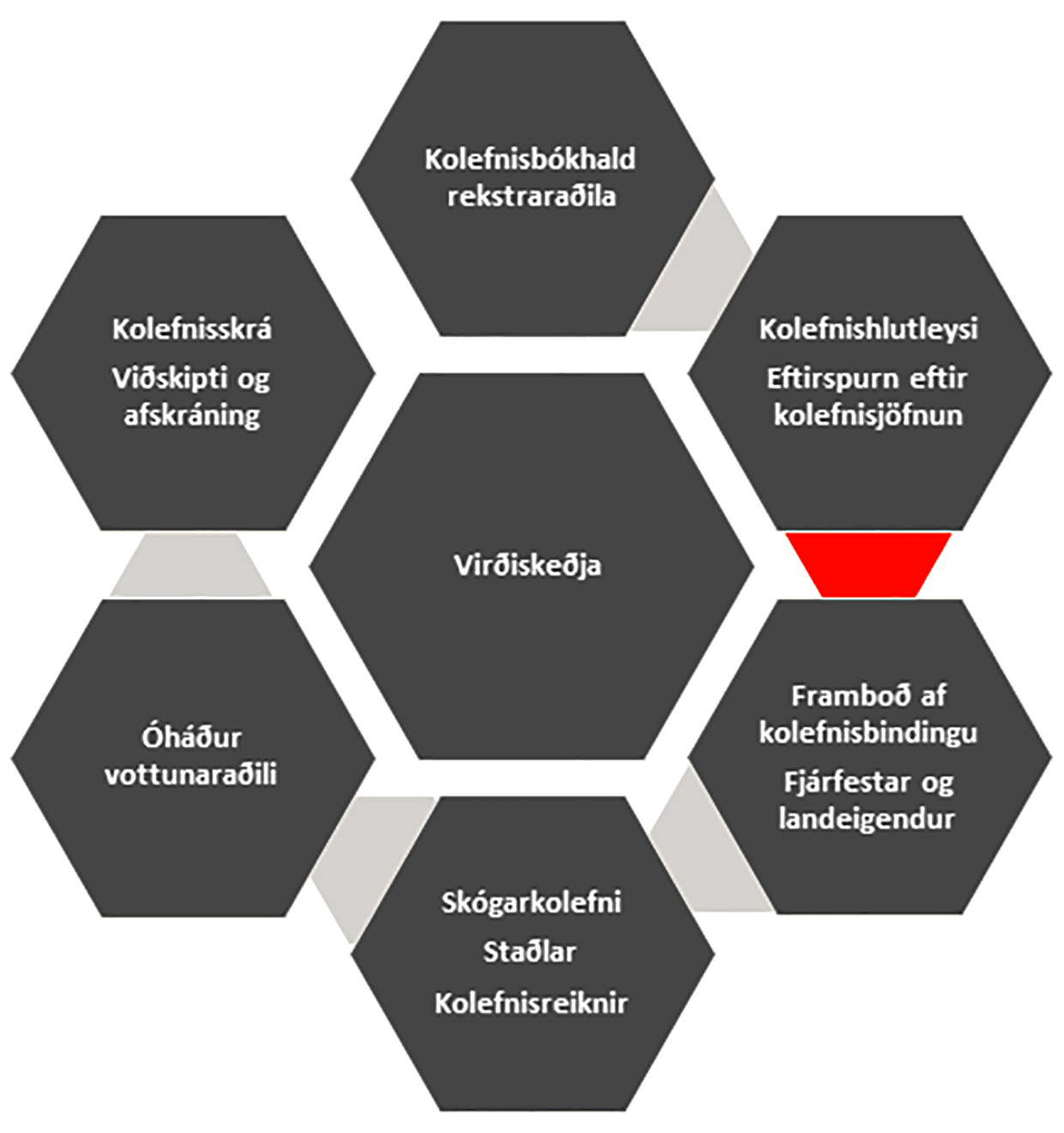 Mynd 2. Virðiskeðja kolefnisjöfnunar Mynd 2. Virðiskeðja kolefnisjöfnunar