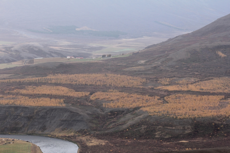 Lerkið á Hálsmelum 7. október 2014. Blámóða úr gosinu í Holuhrauni slærbrslikju á Ljósavatnsskarðið í baksýn. Mynd: Pétur Halldórsson Lerkið á Hálsmelum 7. október 2014. Blámóða úr gosinu í Holuhrauni slærbrslikju á Ljósavatnsskarðið í baksýn. Mynd: Pétur Halldórsson