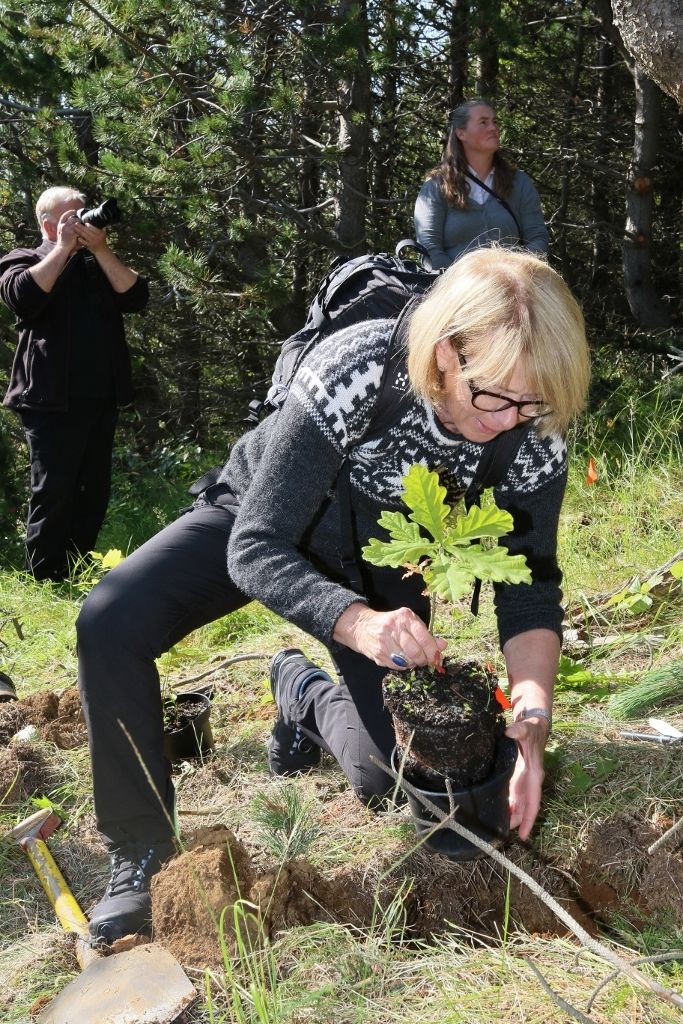 Representatives from the Norwegian embassy in Iceland participated in planting 50 oak seedlings in the arboretum.