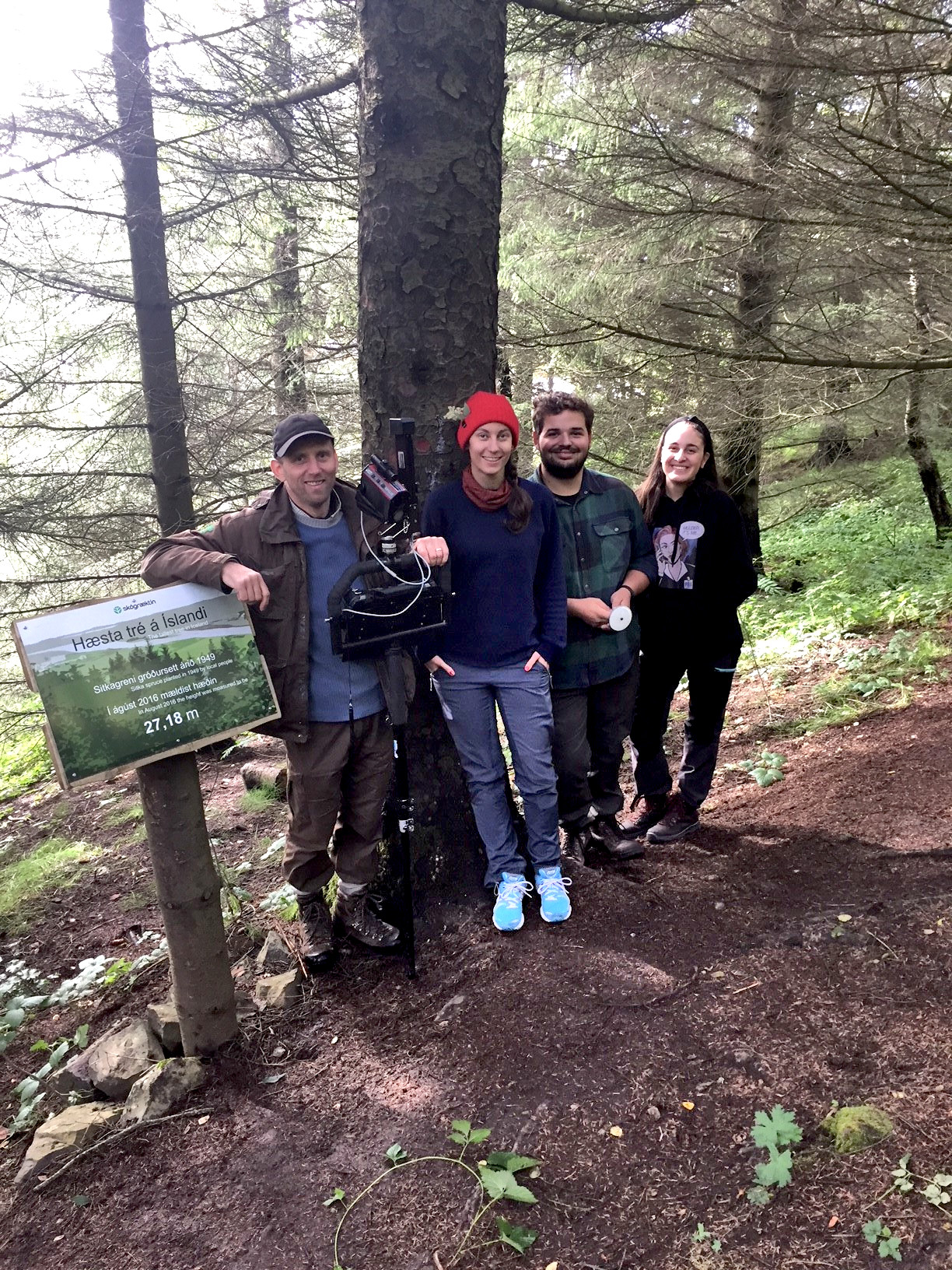 Hæsta tré landsins sem vitað er um er sama tréð og mælst hefur hæst undanfarin ár, sitkagreni á Kirkjubæjarklaustri sem reyndist í ágúst 2018 vera 28,36 metra hátt. Ljósmynd: Bjarki Þór Kjartansson Hæsta tré landsins sem vitað er um er sama tréð og mælst hefur hæst undanfarin ár, sitkagreni á Kirkjubæjarklaustri sem reyndist í ágúst 2018 vera 28,36 metra hátt. Ljósmynd: Bjarki Þór Kjartansson