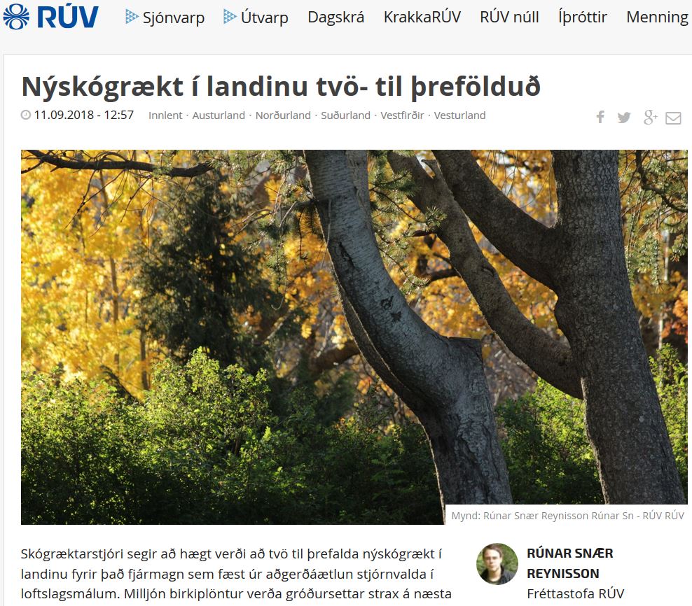 Skjámynd af frétt á vef Ríkisútvarpsins