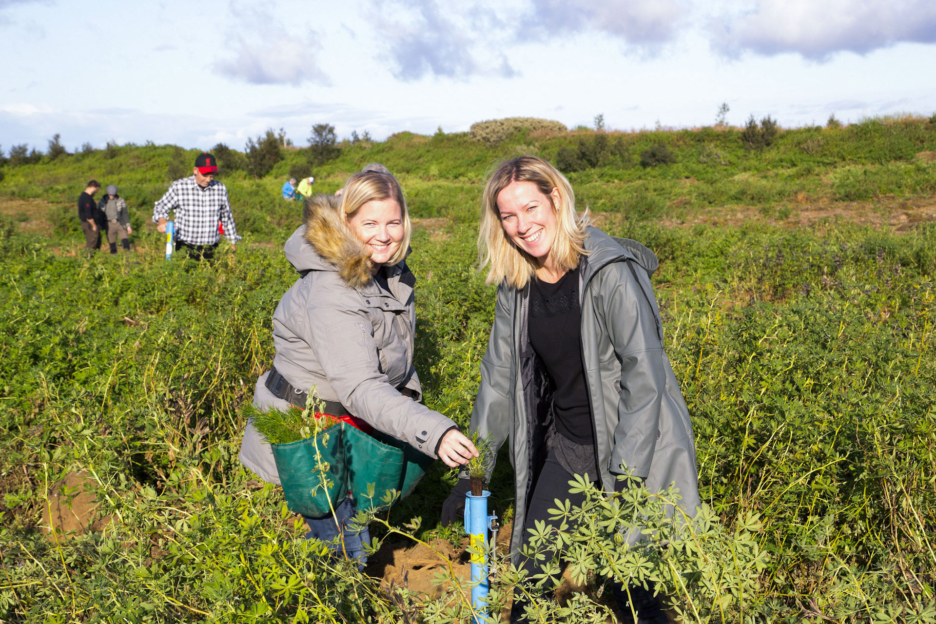 Hópurinn naut sín vel í blíðunni á Haukadalsheiði við gróðursetningu á landi sem lúpínan hefur grætt upp og verður brátt gróskumikill skógur. Ljósmynd af vef Birtu Hópurinn naut sín vel í blíðunni á Haukadalsheiði við gróðursetningu á landi sem lúpínan hefur grætt upp og verður brátt gróskumikill skógur. Ljósmynd af vef Birtu