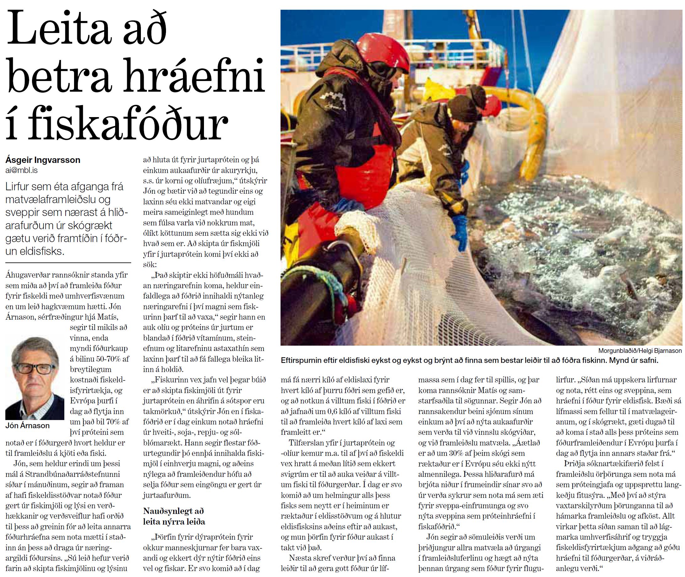 Skjámynd af greininni í Morgunblaðinu