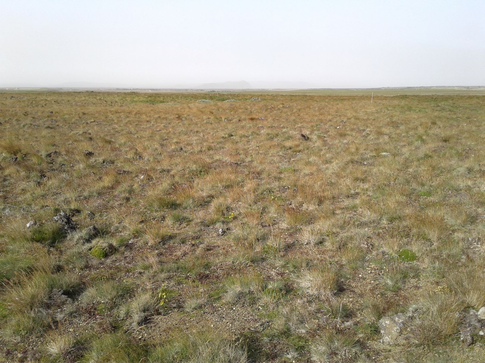 Ljósmynd: Valgerður Erlingsdóttir Ljósmynd: Valgerður Erlingsdóttir