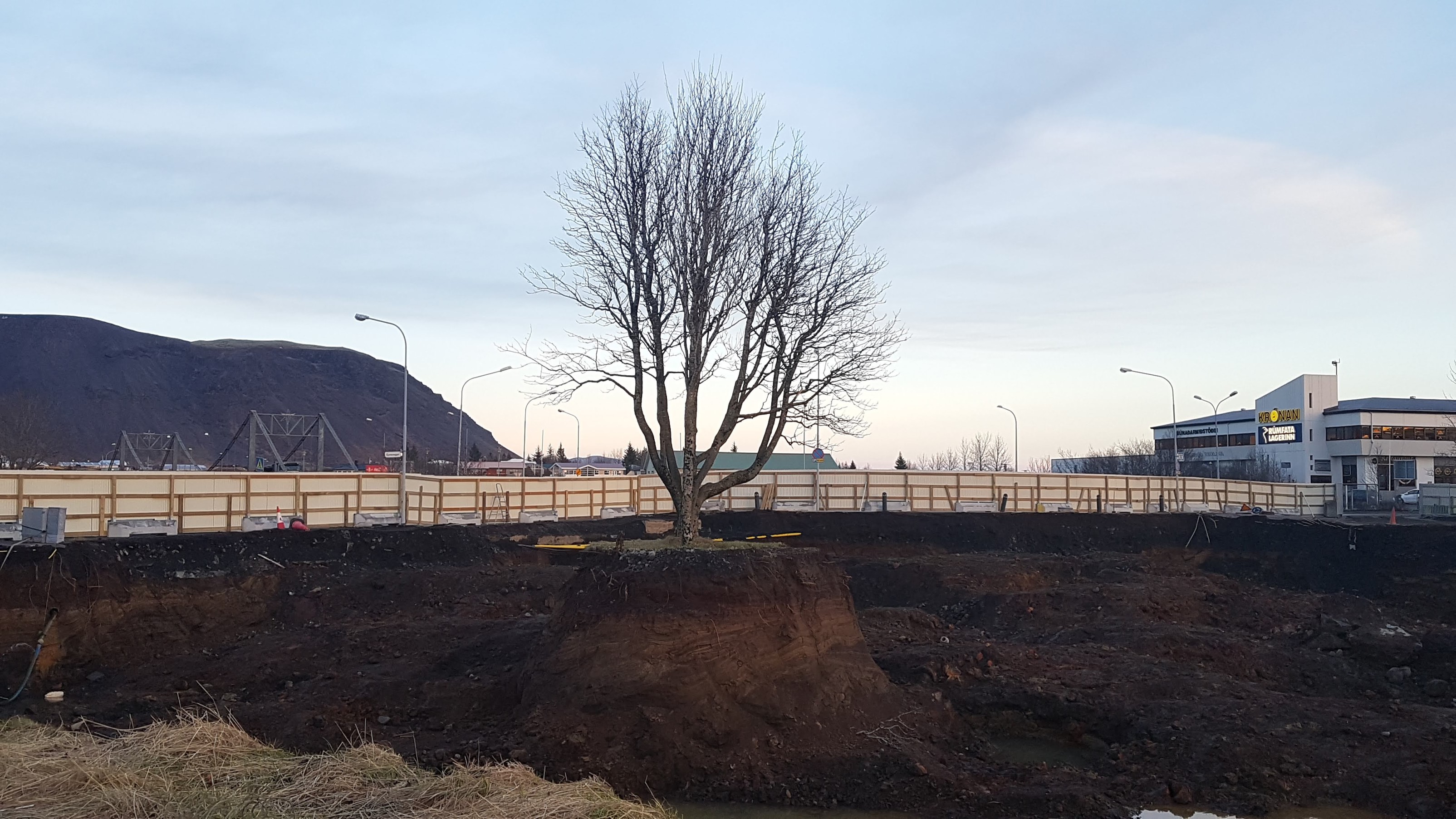 Annað sjónarhorn á trén í Sigtúnsgarði á Selfossi, Ölfursárbrú í baksýn vinstra megin. Ljósmynd: Trausti Jóhannsson Annað sjónarhorn á trén í Sigtúnsgarði á Selfossi, Ölfursárbrú í baksýn vinstra megin. Ljósmynd: Trausti Jóhannsson