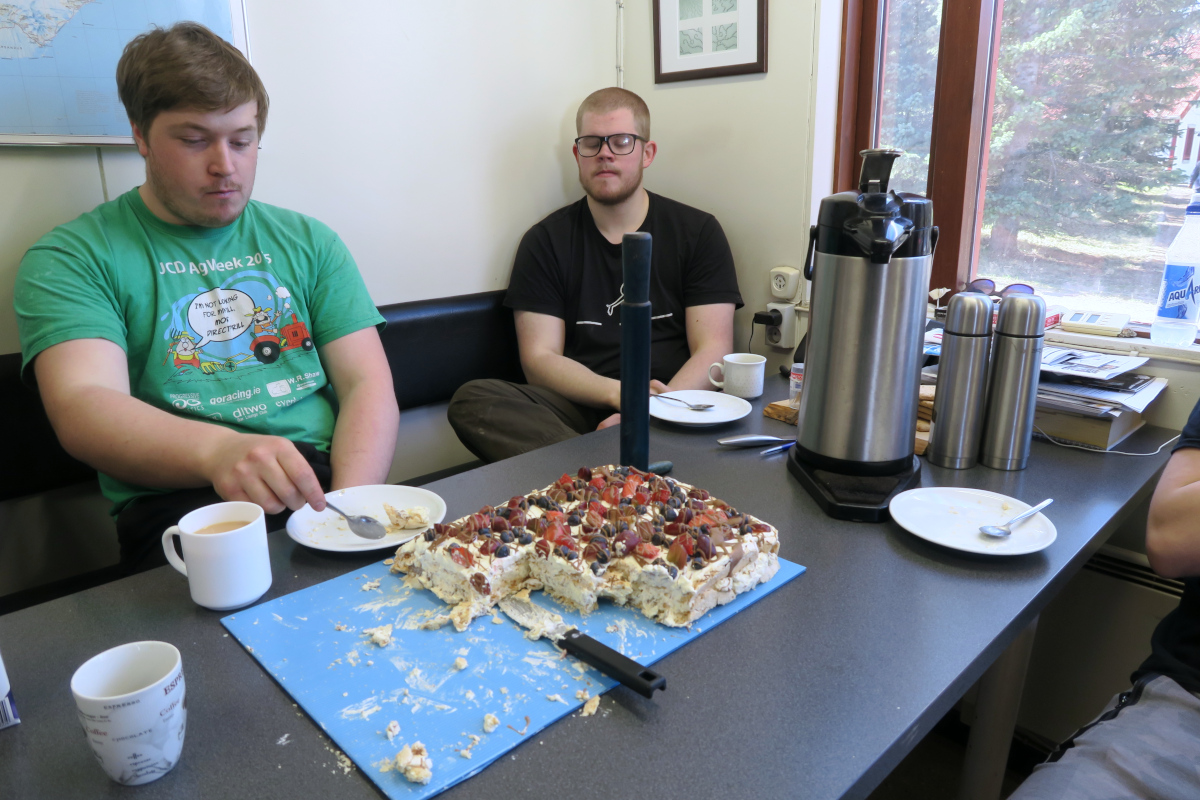 Slegið var í tertu til að fagna áfanganum og einnig nýsamþykktum skógræktarlögum. Ljósmynd: Þór Þorfinnsson Slegið var í tertu til að fagna áfanganum og einnig nýsamþykktum skógræktarlögum. Ljósmynd: Þór Þorfinnsson