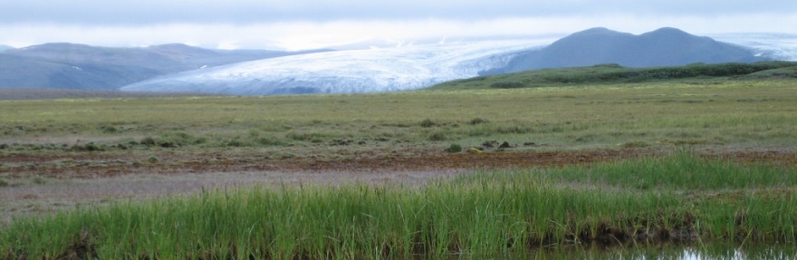 Þjórsárver nature reserve: Photo by Hugi Ólafsson