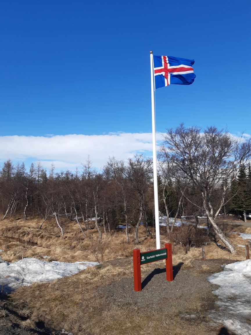 Þessi mynd var tekin í morgun á Hallormsstað þar sem flaggað er í tilefni af afmæli Vigdísar Finnbogadóttur. Ljósmynd: Þór Þorfinnsson