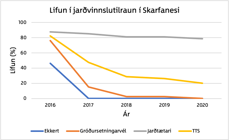 Lifun í jarðvinnslutilraun í Skarfanesi. Mynd: Jóhanna Bergrúnar Ólafsdóttir