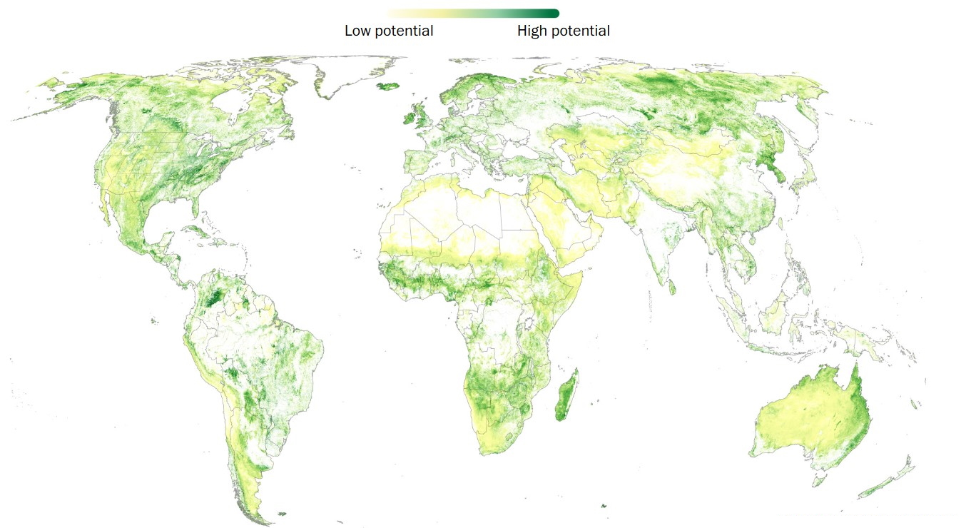 Heimskort sem sýnir hvar væri hægt að rækta nýjan skóg á jörðinni án þess að þrengja að þéttbýli eða matvælaframleiðslu. Á dökkgrænum svæðum eru mestu möguleikarnir. Kort frá The Washington Post unnið upp úr gögnum frá ETH í Zürich Heimskort sem sýnir hvar væri hægt að rækta nýjan skóg á jörðinni án þess að þrengja að þéttbýli eða matvælaframleiðslu. Á dökkgrænum svæðum eru mestu möguleikarnir. Kort frá The Washington Post unnið upp úr gögnum frá ETH í Zürich