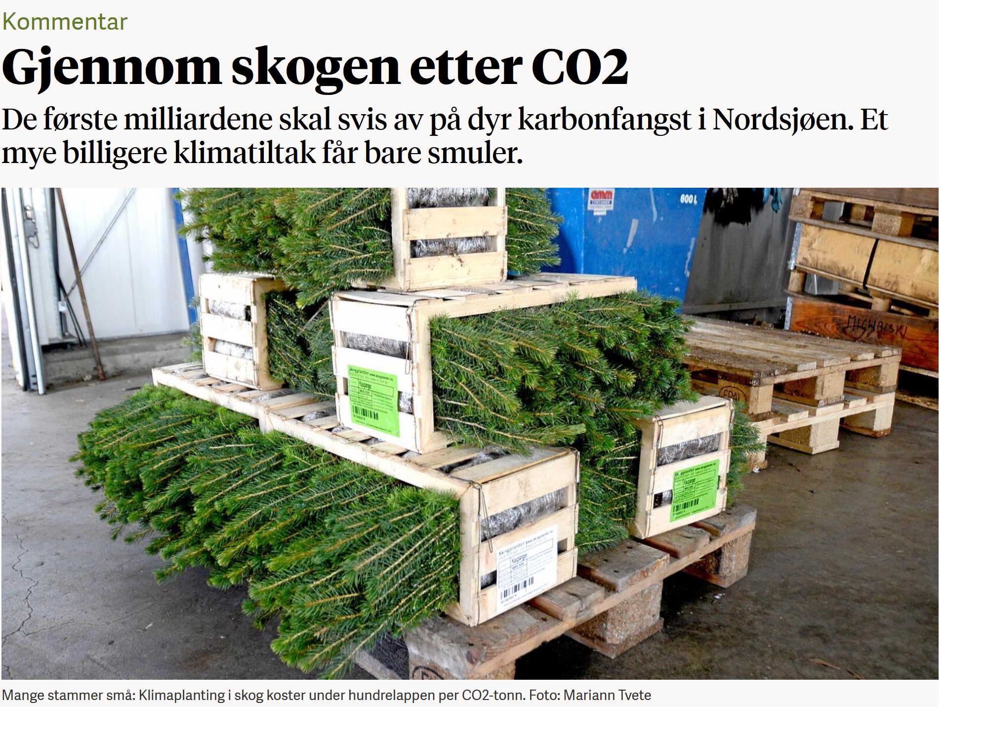 Skjámynd af vef Nationen