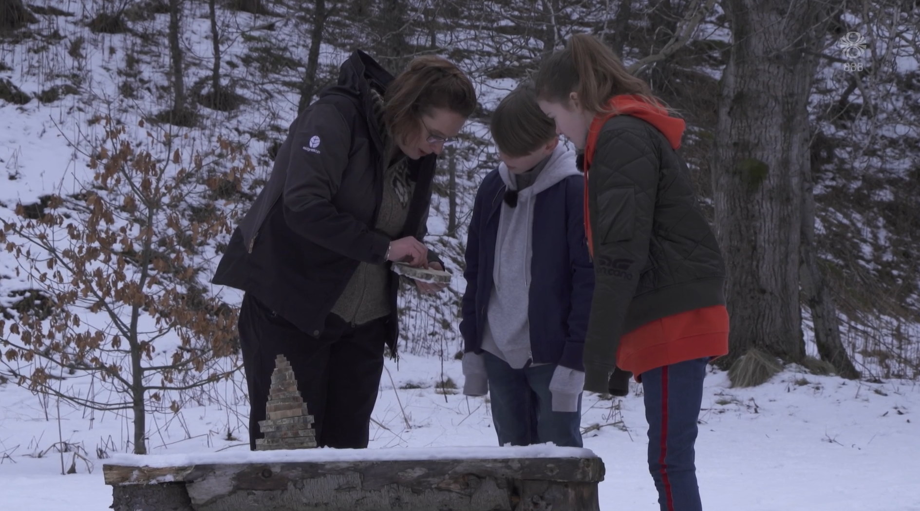 Edda sýnir Baldri Birni og Lindu Ýri hvernig árhringir í trjám segja okkur til um aldur þeirra. Skjámynd úr Stundinni okkar Edda sýnir Baldri Birni og Lindu Ýri hvernig árhringir í trjám segja okkur til um aldur þeirra. Skjámynd úr Stundinni okkar