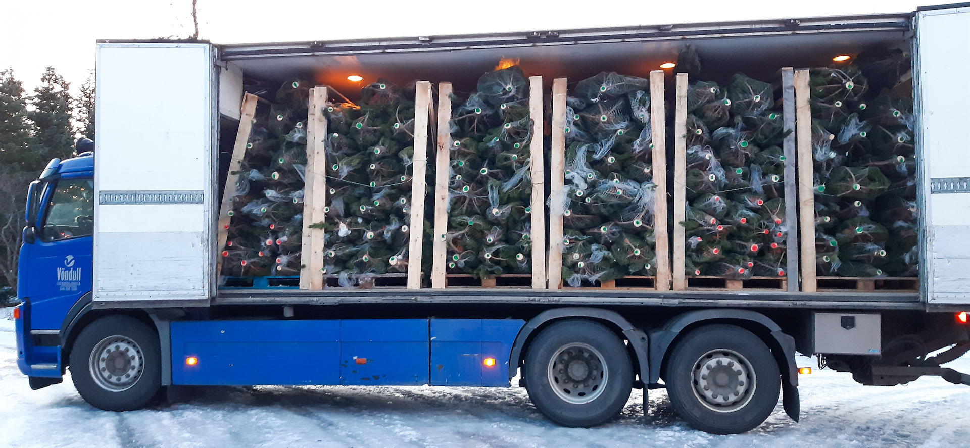 Vel fer um jólatrén í bílnum með þessu flutningslagi. Ljósmynd: Jóhannes H. Sigurðsson Vel fer um jólatrén í bílnum með þessu flutningslagi. Ljósmynd: Jóhannes H. Sigurðsson