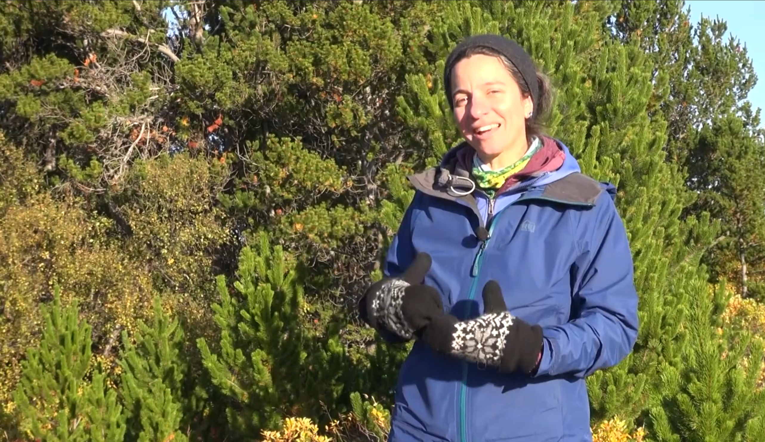 Christine M. Palmer. Skjámynd úr myndbandinu