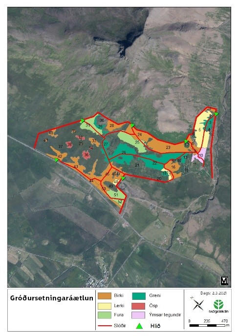 Gróðursetningaráætlun svæðisins í Spákonufelli. Lögð verður áhersla á birki, sitkagreni og alaskaösp til að byrja með en þegar skógurinn fer að mynda skjól gefst færi á ræktun fleiri tegunda til að auka fjölbreytileikann. Kort: Benjamín Örn Davíðsson