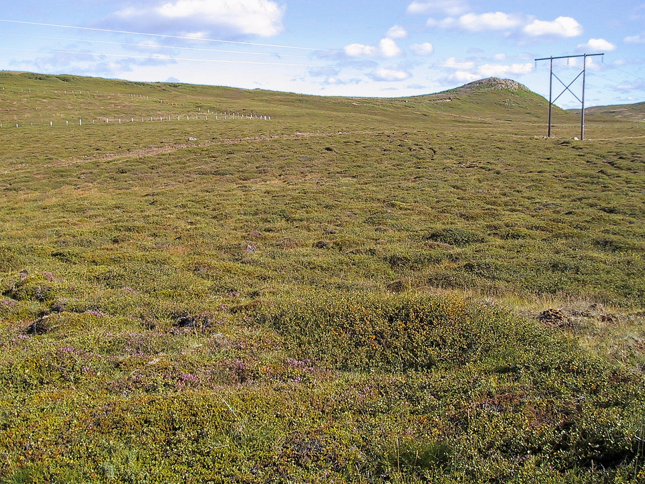 Brekka árið 2000. Girðingin er svæðið sem er nokkurn veginn á miðri myndinni að ofan þar sem birki og víðir er áberandi Brekka árið 2000. Girðingin er svæðið sem er nokkurn veginn á miðri myndinni að ofan þar sem birki og víðir er áberandi