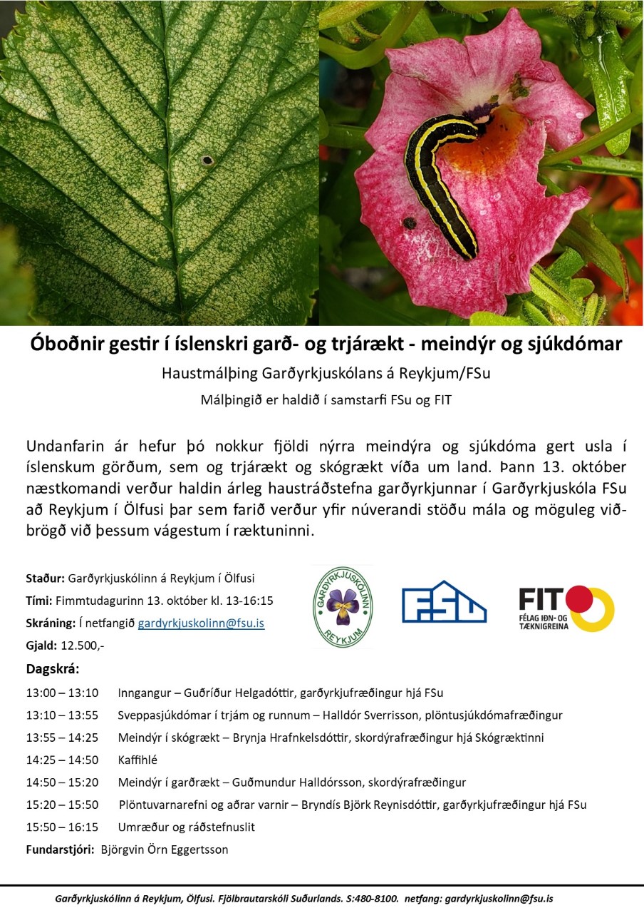 Auglýsing fyrir málþingið