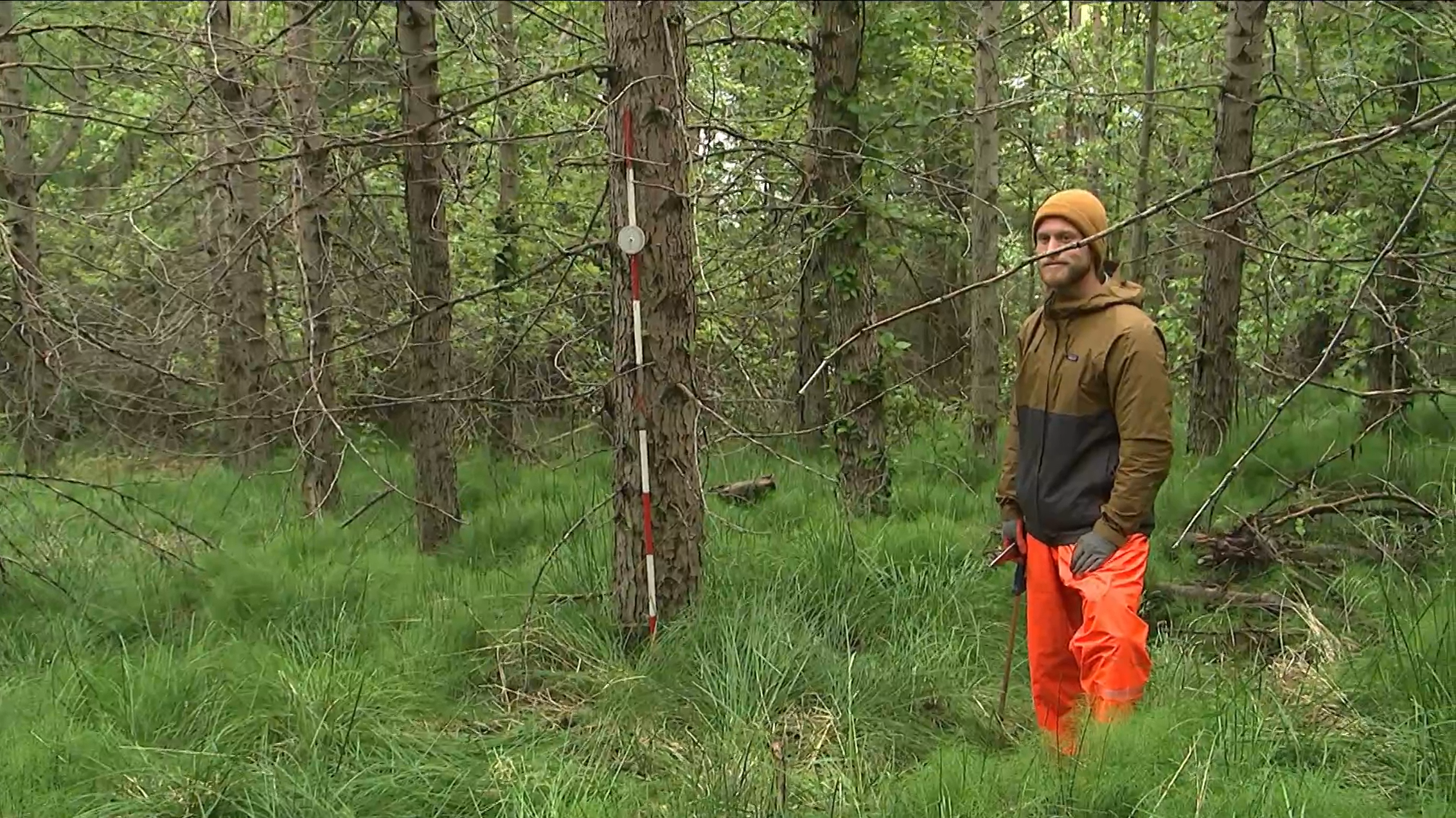 Jannick Elshner, meistaranemi í náttúruvísindum við HÍ, er sumarstarfsmaður hjá Skógræktinni og aðstoðar meðal annars við skógmælingarnar. Hann hefur hér stillt upp mælistöng. Skjámynd úr frétt Ríkisútvarpsins. Jannick Elshner, meistaranemi í náttúruvísindum við HÍ, er sumarstarfsmaður hjá Skógræktinni og aðstoðar meðal annars við skógmælingarnar. Hann hefur hér stillt upp mælistöng. Skjámynd úr frétt Ríkisútvarpsins.