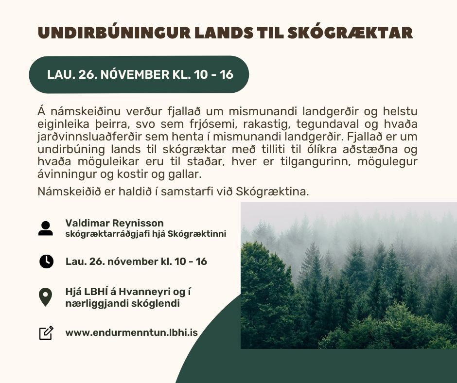 Auglýsing fyrir námskeiðið Auglýsing fyrir námskeiðið