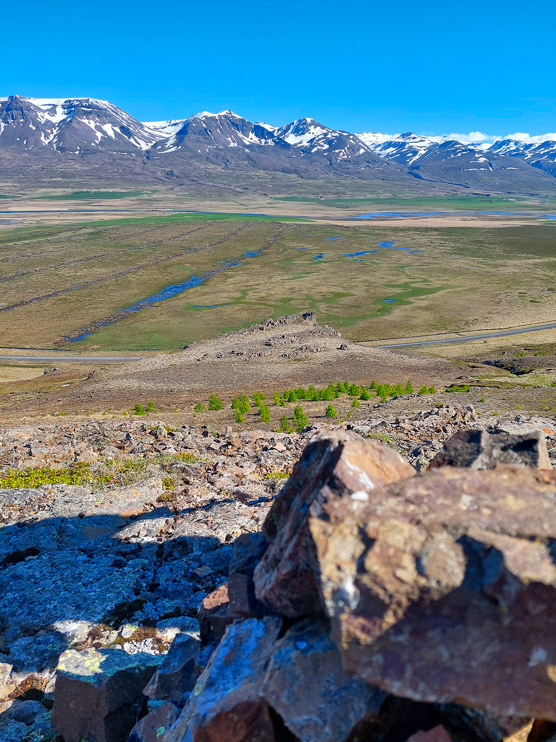 Útsýni yfir lerkiskógarlund og endurheimt votlendi á láglendinu. Ljósmynd: Guðríður Baldvinsdóttir Útsýni yfir lerkiskógarlund og endurheimt votlendi á láglendinu. Ljósmynd: Guðríður Baldvinsdóttir