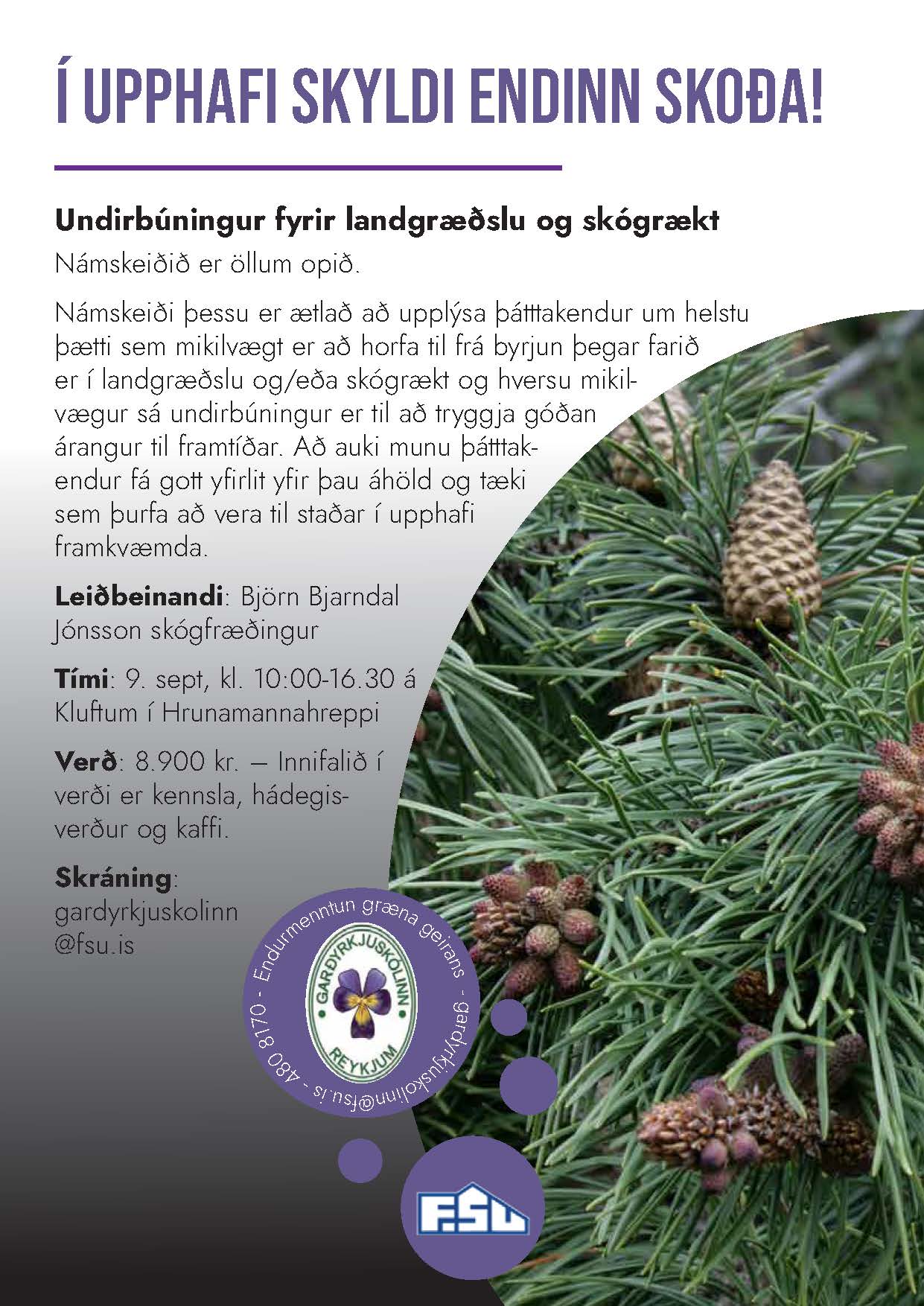 Auglýsing fyrir námskeiðið