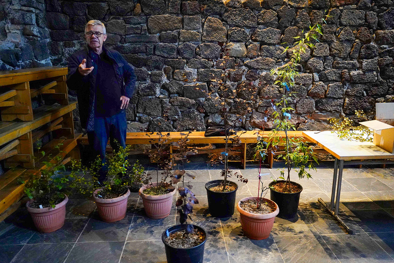 Þorsteinn Tómasson fjallar um birki. Ljósmynd: Kristinn H. Þorsteinsson Þorsteinn Tómasson fjallar um birki. Ljósmynd: Kristinn H. Þorsteinsson