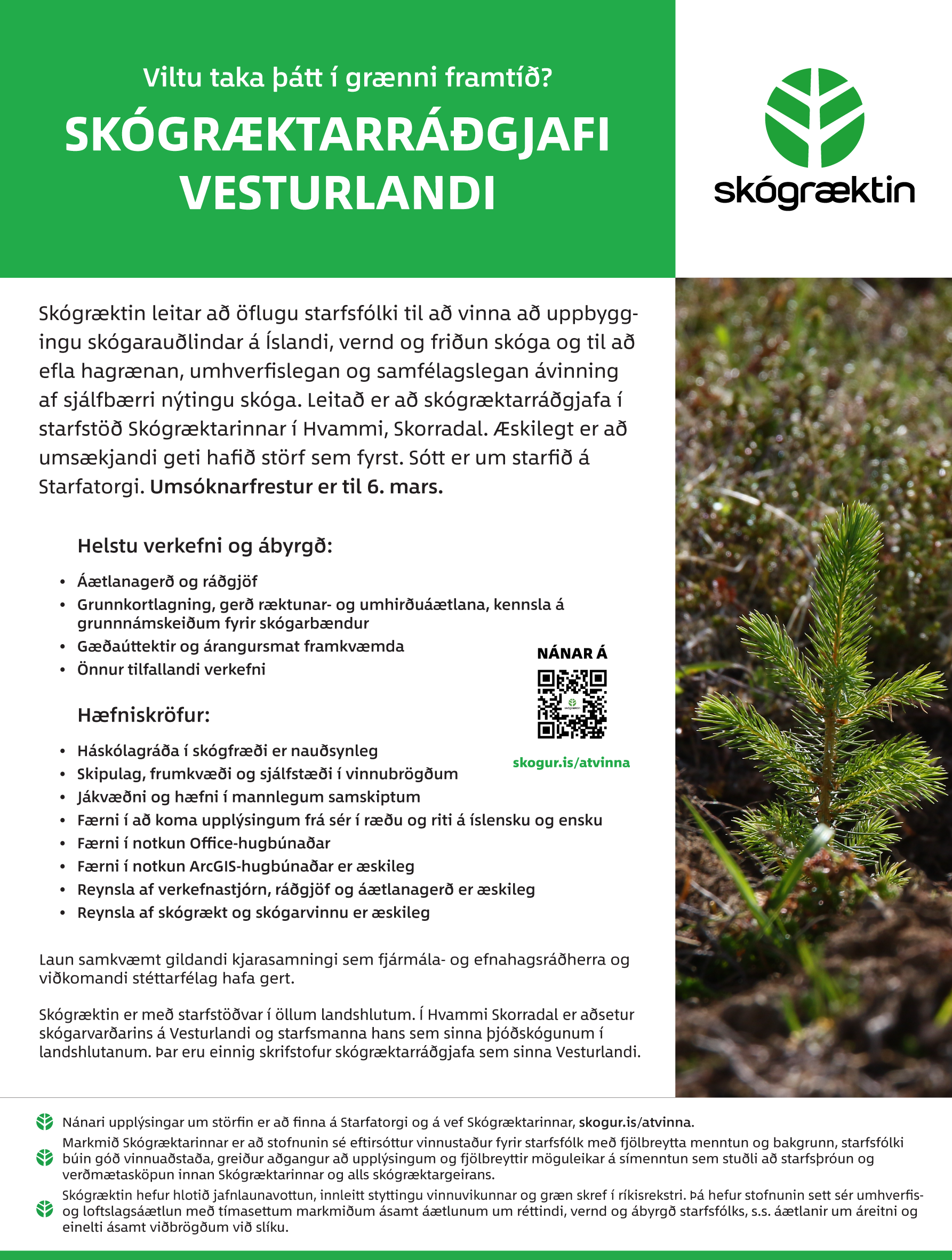 Auglýsing fyrir starf skógræktarráðgjafa á Vesturlandi Auglýsing fyrir starf skógræktarráðgjafa á Vesturlandi