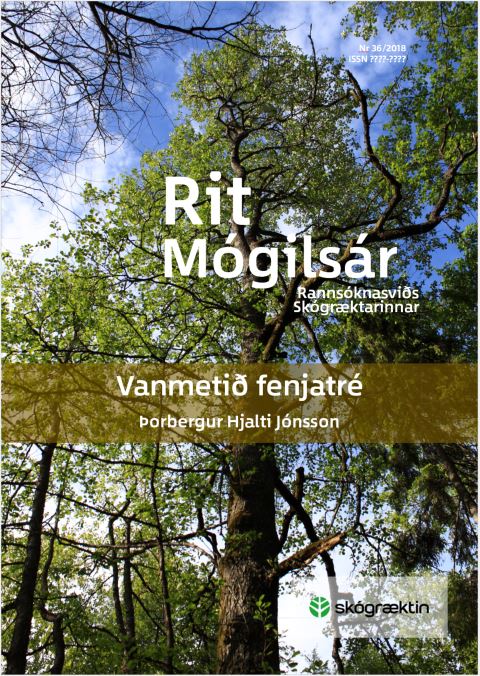 Forsíða 36. tölublaðs