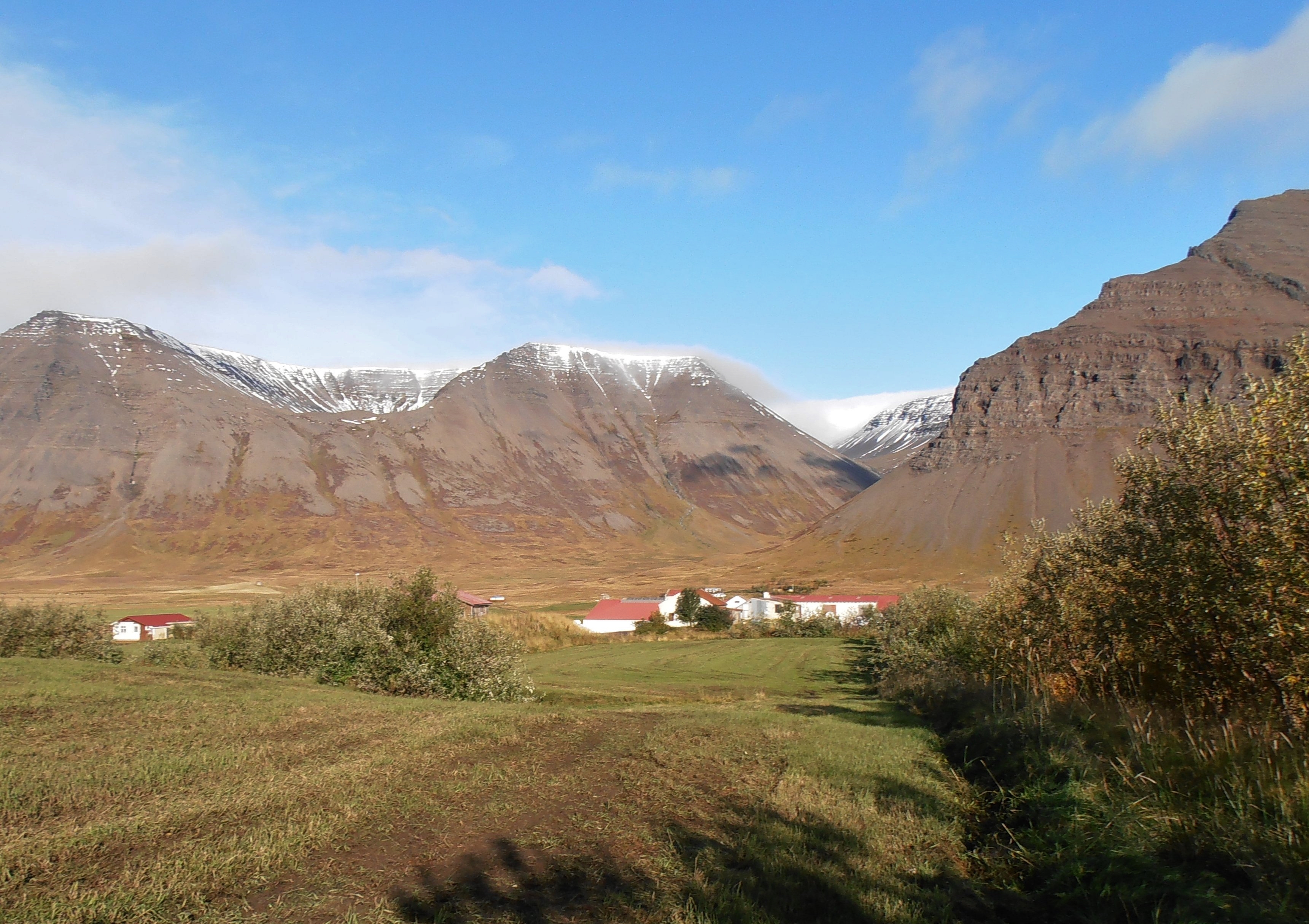 Skógrækt á lögbýlinu Hóli Önundarfirði. Ljósmynd: Sæmundur Þorvaldsson Skógrækt á lögbýlinu Hóli Önundarfirði. Ljósmynd: Sæmundur Þorvaldsson