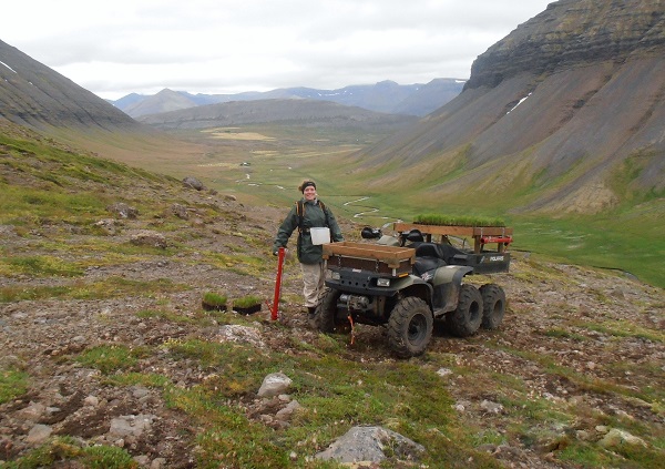 Salvör Sæmundsdóttir við gróðursetningu bergfuru í landi Klukkulands. Ljósmynd: Sæmundur Þorvaldsson