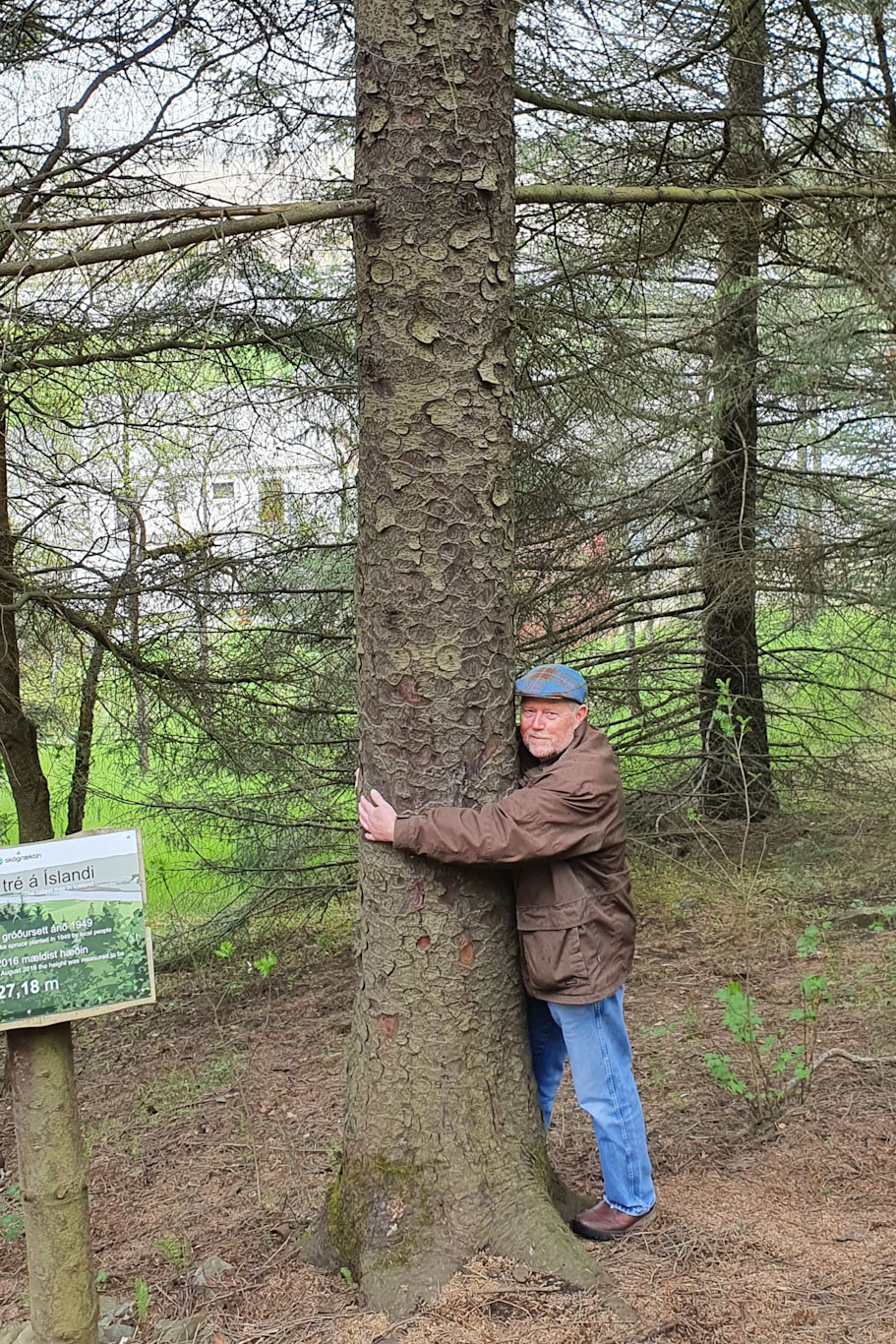 Hvers vegna skóga, þröstur? „Vegna alls þess sem skógar gefa, þá er deginum ljósara hvað það er sem vantar í skóglausu landi – meiri skóg (og minna kjaftæði).“ Hvers vegna skóga, þröstur? „Vegna alls þess sem skógar gefa, þá er deginum ljósara hvað það er sem vantar í skóglausu landi – meiri skóg (og minna kjaftæði).“