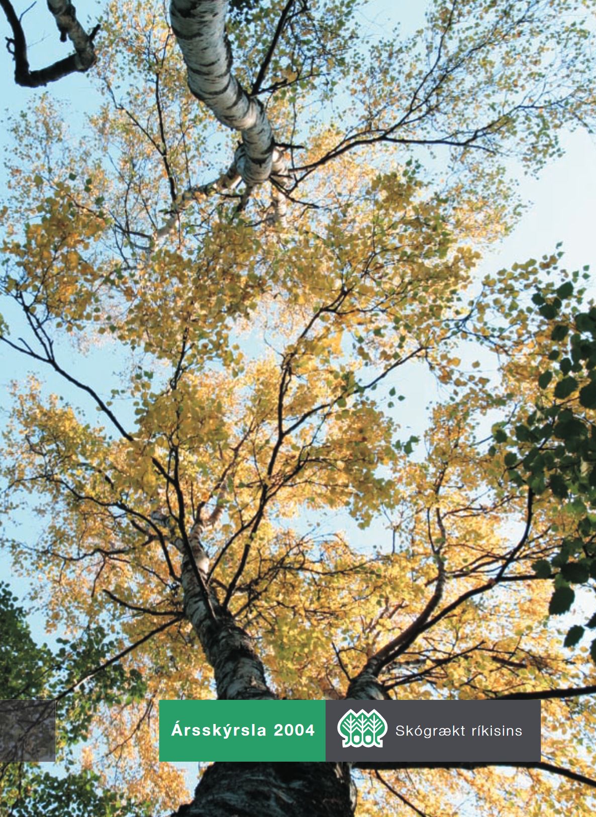 Forsíða Ársrits 2004