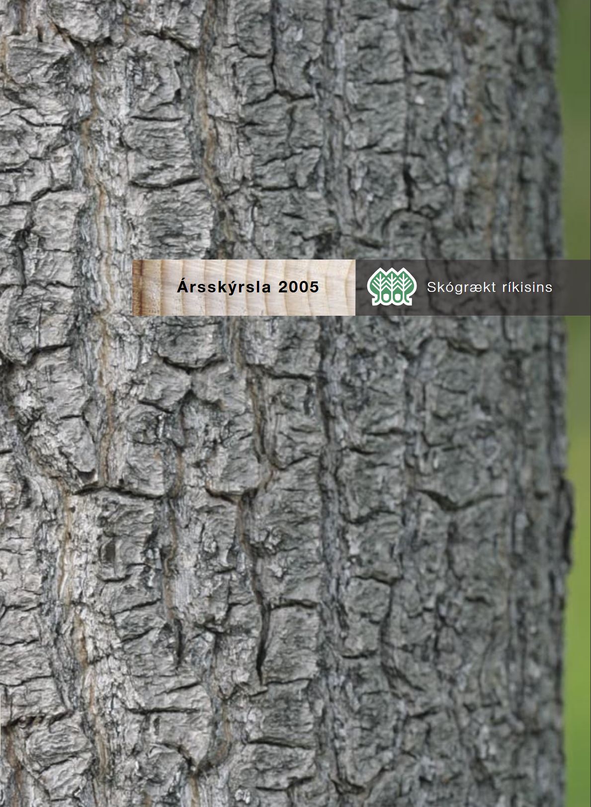 Forsíða Ársrits 2005
