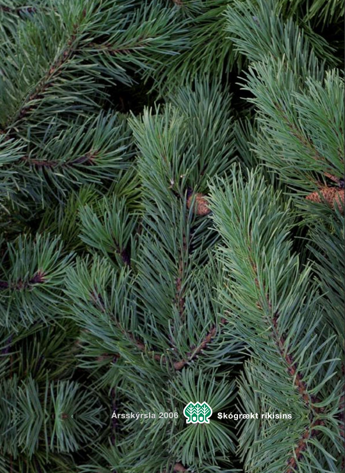 Forsíða Ársrits 2006