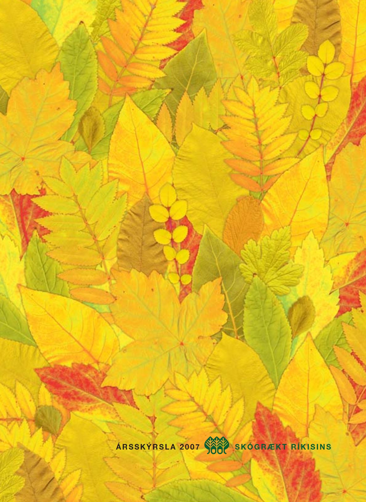 Forsíða Ársrits 2007