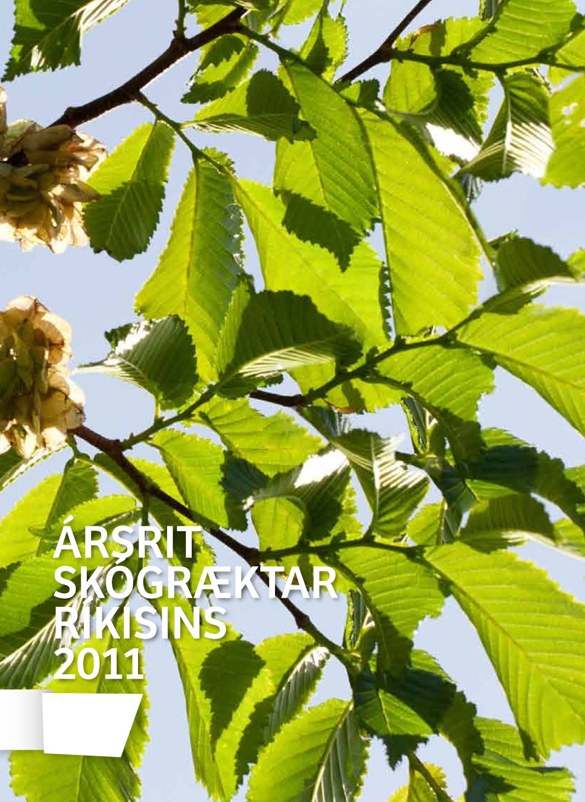 Forsíða Ársrits 2011