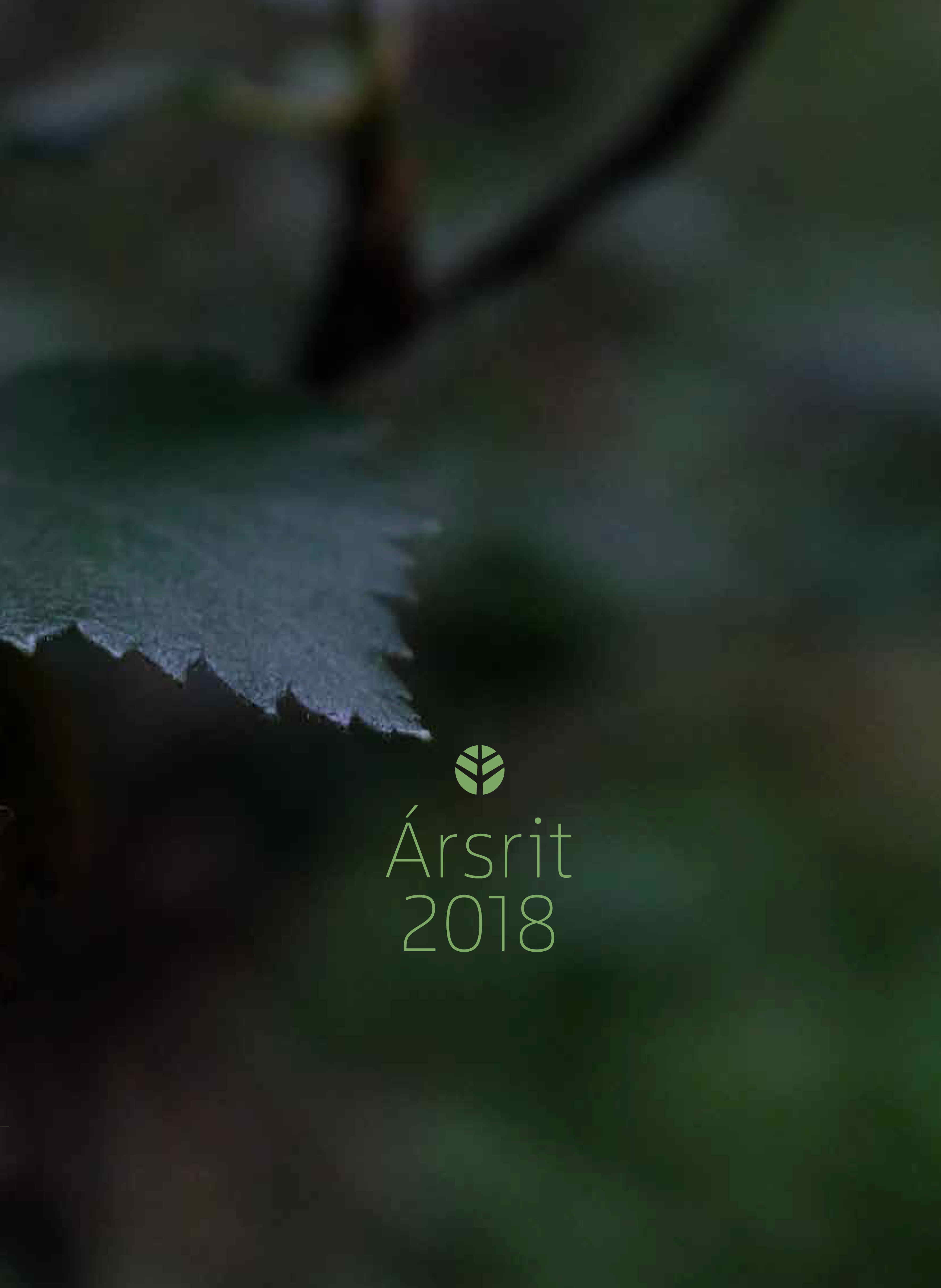 Forsíða Ársrits 2018